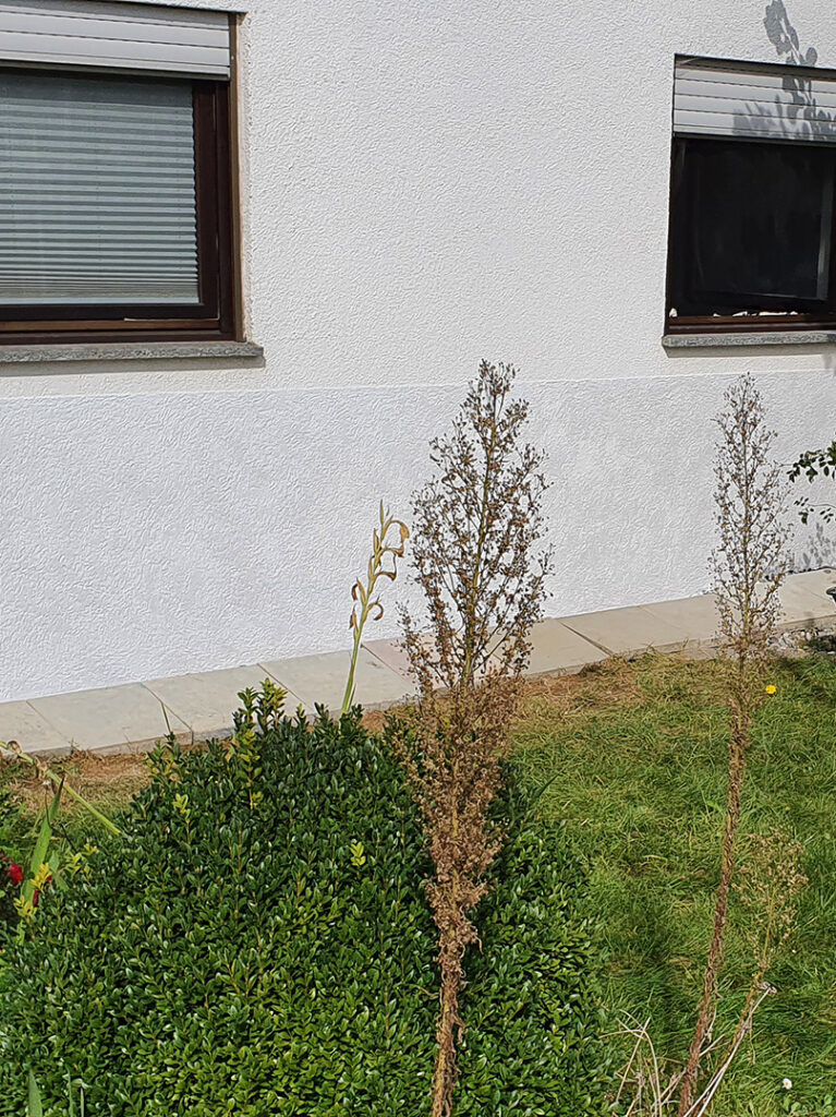kewabo® gmbh memmingen referenzen